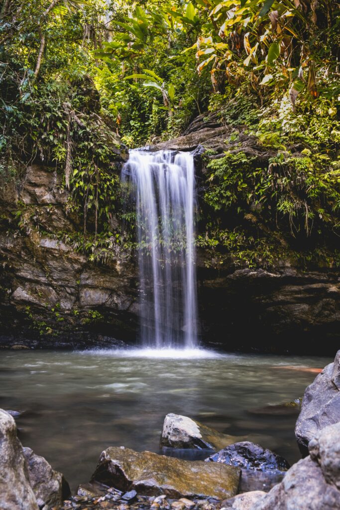 wenhao-ruan-Tfkx4W37xuI-unsplash (1)